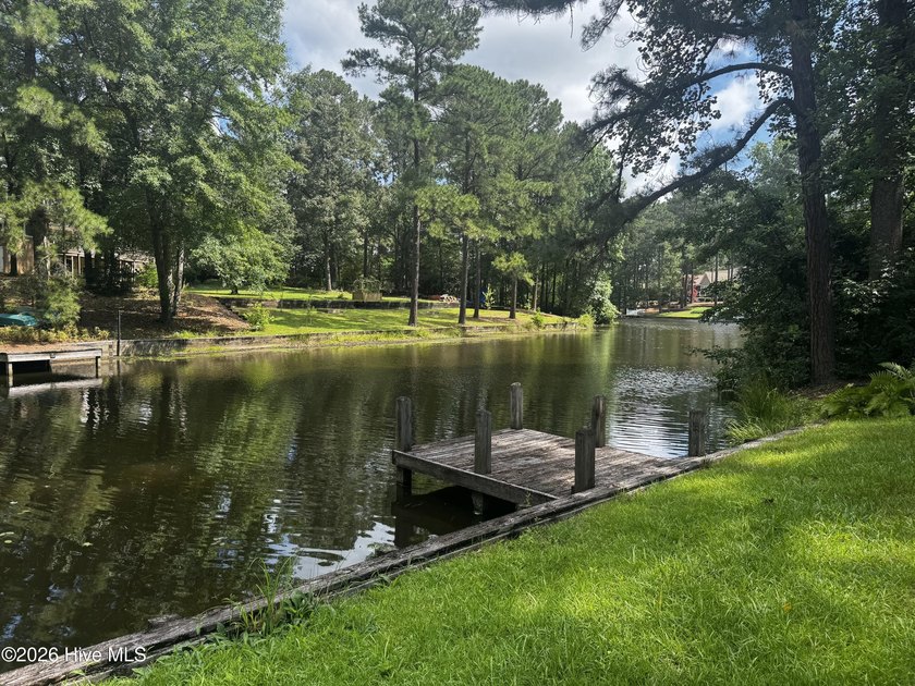 Enjoy peaceful waterfront living in this full-brick, 3-bedroom - photo 25