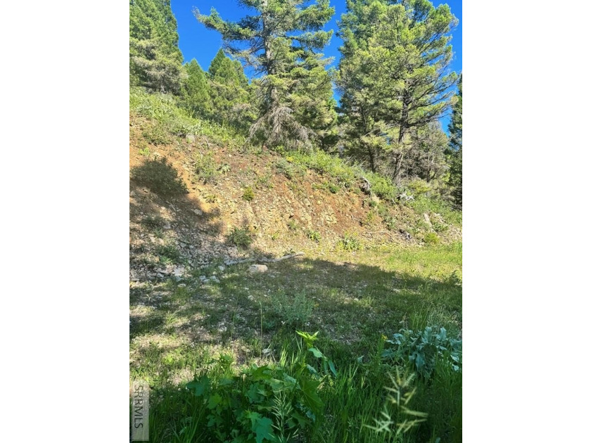 Perched high above Henry's Lake, this remarkable 13.44-acre - photo 5