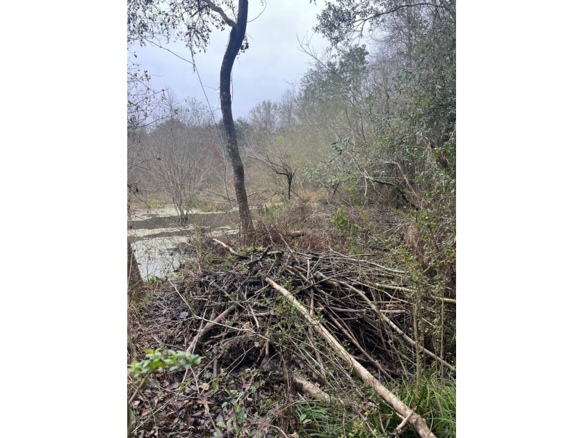 LOCATED IN WAYNE COUNTY, MISSISSIPPI, ROUGHLY NINE MILES - photo 11