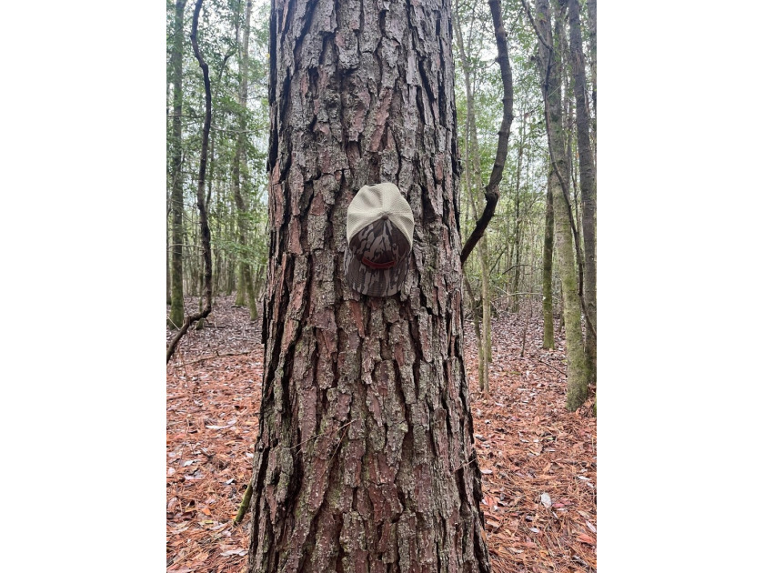 LOCATED IN WAYNE COUNTY, MISSISSIPPI, ROUGHLY NINE MILES - photo 13
