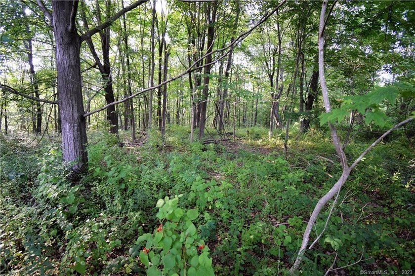 WITH 7+ ACRES YOU CAN BUILD WHAT YOU WANT WITH THE PRIVACY YOU - photo 2