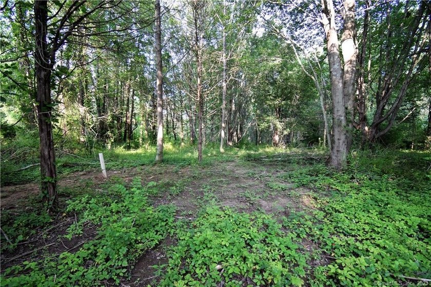 WITH 7+ ACRES YOU CAN BUILD WHAT YOU WANT WITH THE PRIVACY YOU - photo 4