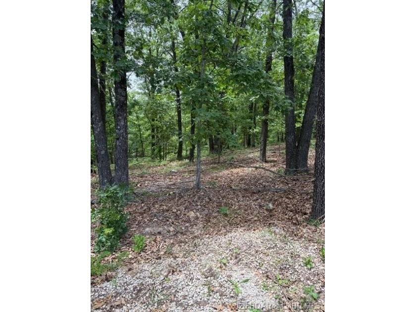* Motivated Seller, Bring your best offer * Rare opportunity to - photo 6