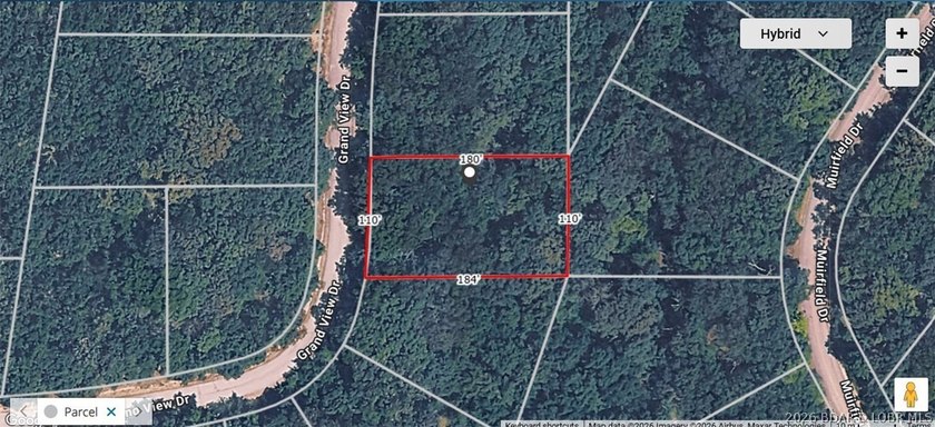 Looking for a homesite in the middle of everything at Lake of - photo 3