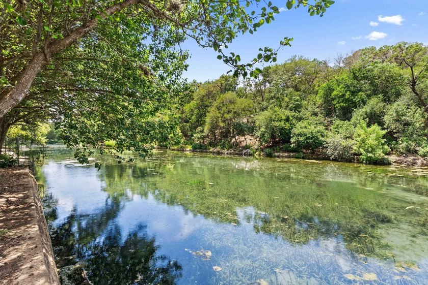 One of the Comal River's most unique locations, this waterfront - photo 25