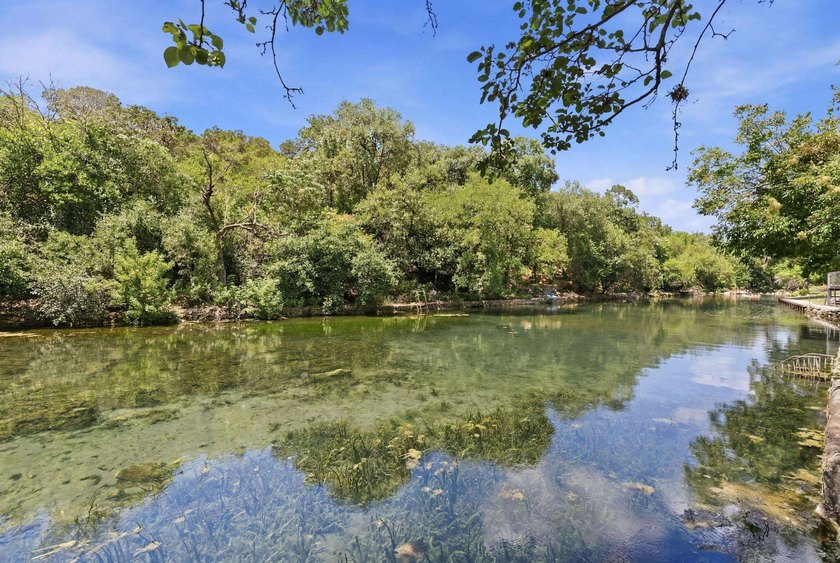 One of the Comal River's most unique locations, this waterfront - photo 26