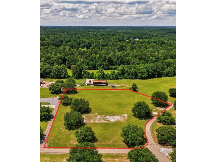 Beautiful 3.10-acre corner lot located at the corner of Shavon - photo 3