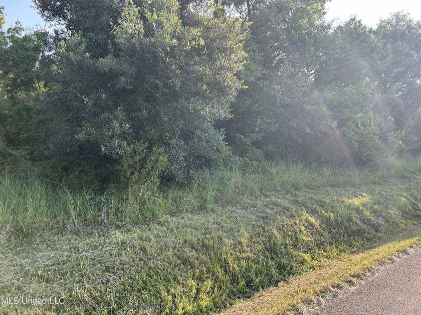 Exceptional Large Lot in Jordan River Estates! Discover the - photo 2