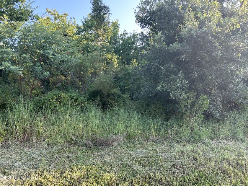 Exceptional Large Lot in Jordan River Estates! Discover the - photo 3