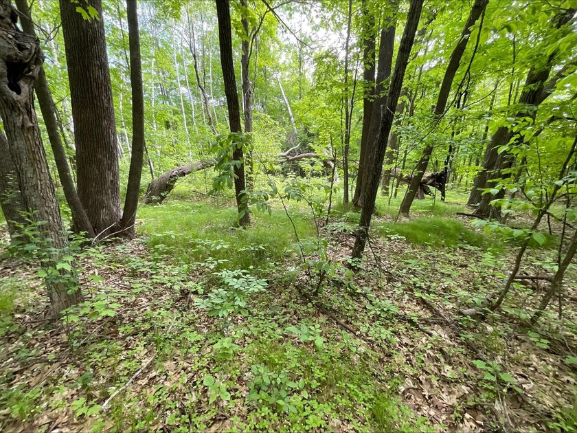 Discover the potential of this 5 + acre property on Pomroy Lake - photo 5