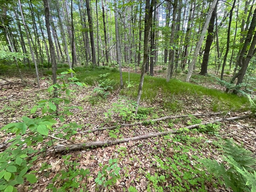 Discover the potential of this 5 + acre property on Pomroy Lake - photo 6