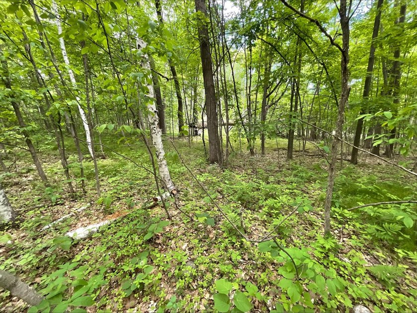 Discover the potential of this 5 + acre property on Pomroy Lake - photo 8