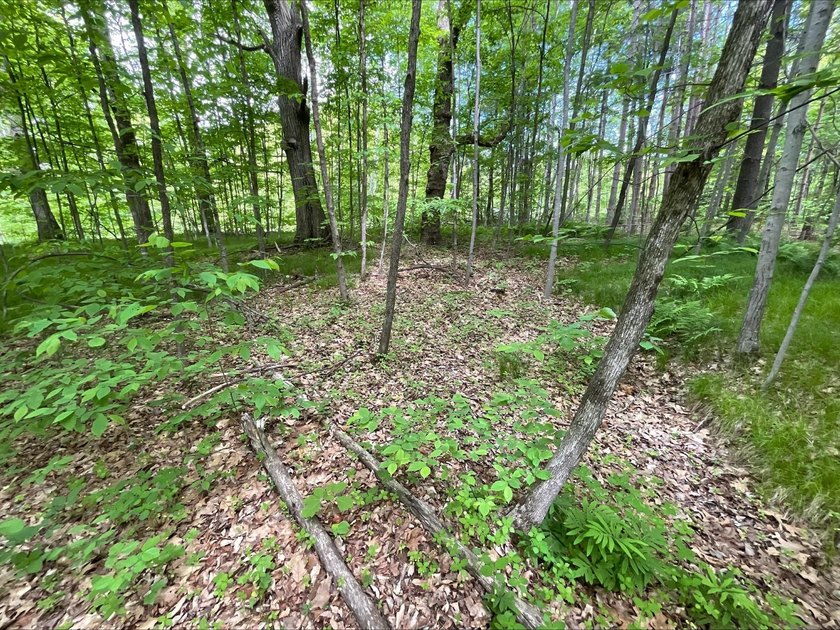Discover the potential of this 5 + acre property on Pomroy Lake - photo 10