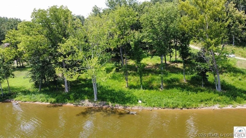 This is a hard one to find, so don't wait! 27+/- acres of - photo 8