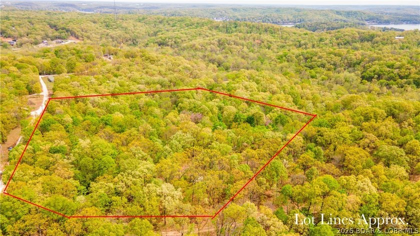 Rare opportunity to own 18.7 acres of beautiful, wooded land - photo 2