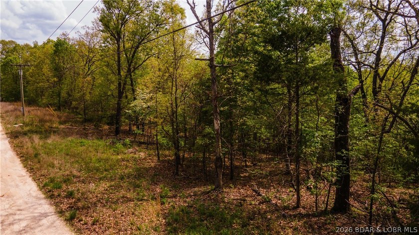 Rare opportunity to own 18.7 acres of beautiful, wooded land - photo 6