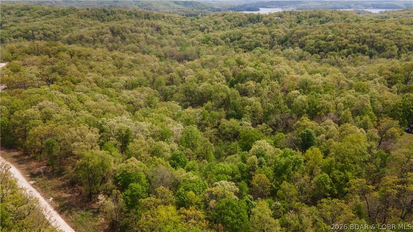 Rare opportunity to own 18.7 acres of beautiful, wooded land - photo 7