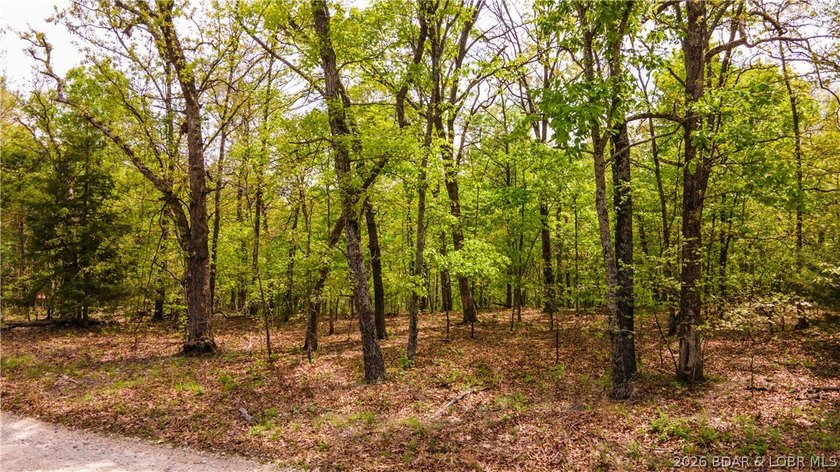 Rare opportunity to own 18.7 acres of beautiful, wooded land - photo 8