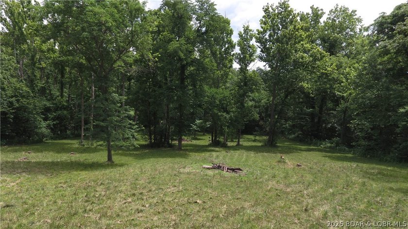 Beautiful 30 +/- acre property just minutes from Lake Ozark! The - photo 5