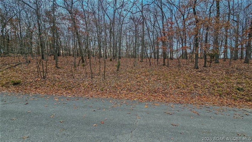 Discover the perfect setting for your custom home in the highly - photo 2