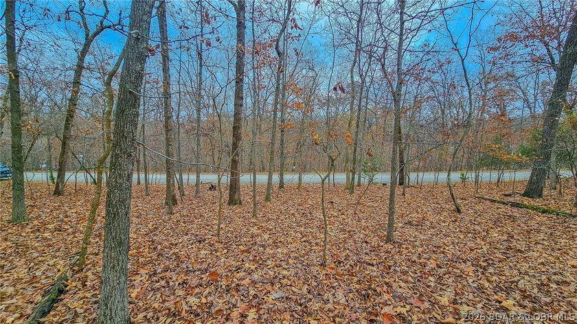 Discover the perfect setting for your custom home in the highly - photo 6
