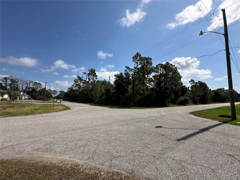 Fantastic oversized corner lot in Port Charlotte, now ready for - photo 2