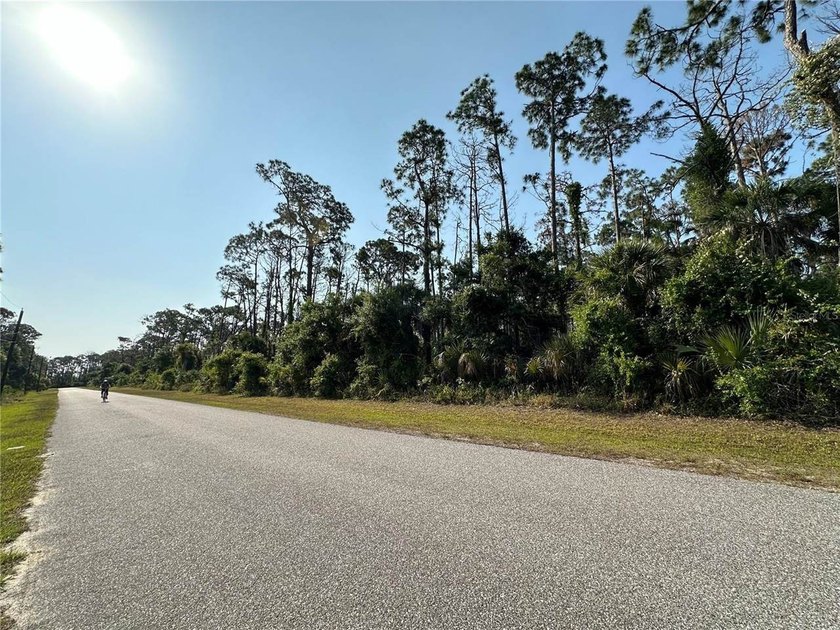 Fantastic oversized corner lot in Port Charlotte, now ready for - photo 4