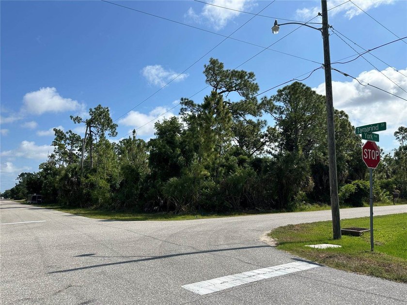Fantastic oversized corner lot in Port Charlotte, now ready for - photo 5