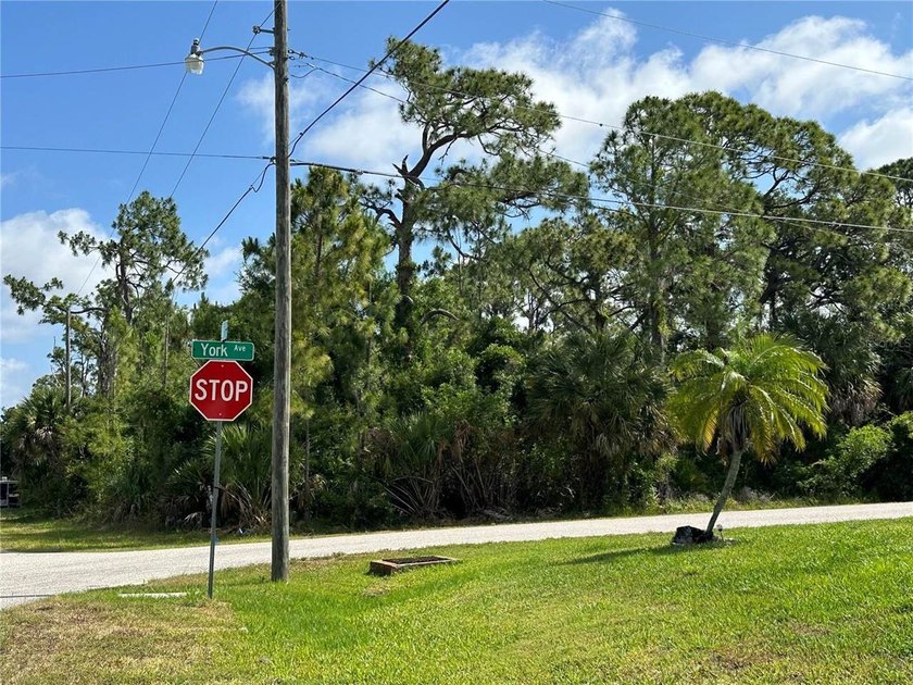 Fantastic oversized corner lot in Port Charlotte, now ready for - photo 9