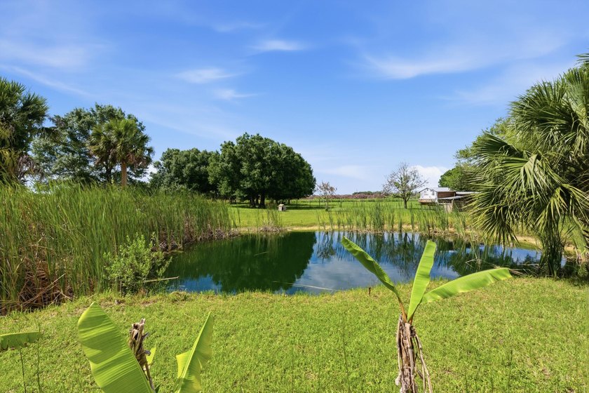 Welcome to this beautifully renovated 3-bedroom, 2-bath home in - photo 36