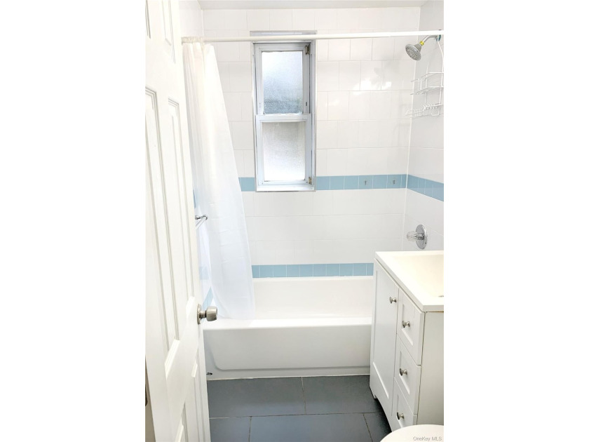 Spacious One Bedroom Apartment in a desirable location near 71st - photo 9