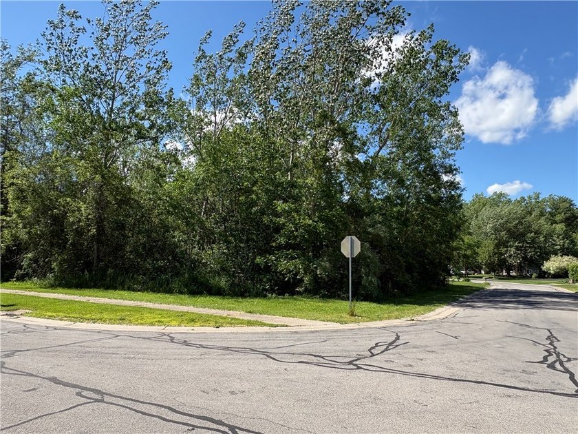 Prime corner lot located in a desirable development within the - photo 8