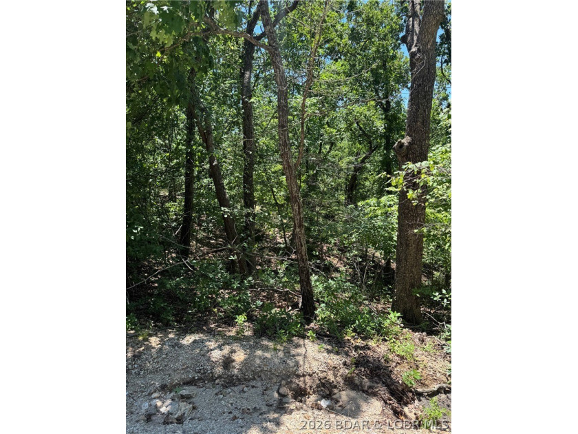 Unique opportunity to own four connected lots in Four Seasons - photo 5