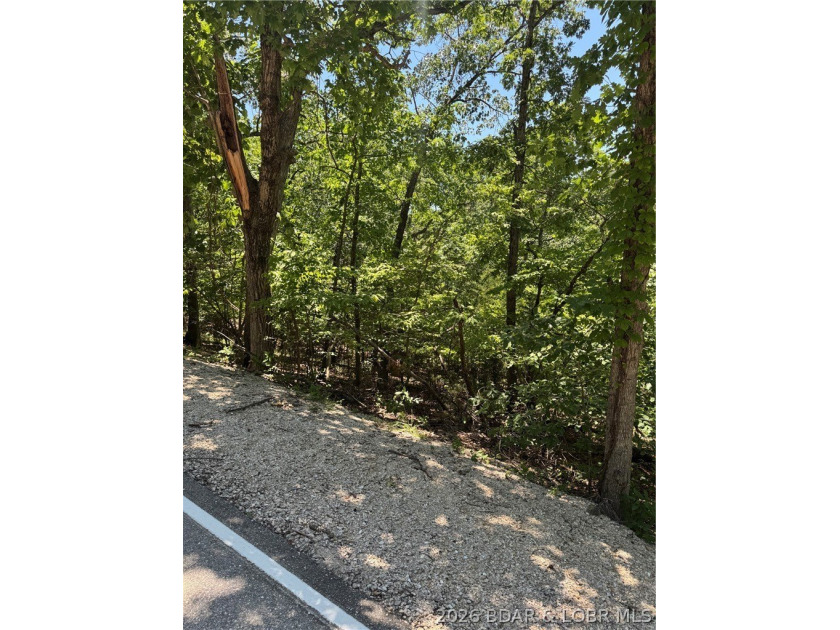 Unique opportunity to own four connected lots in Four Seasons - photo 10