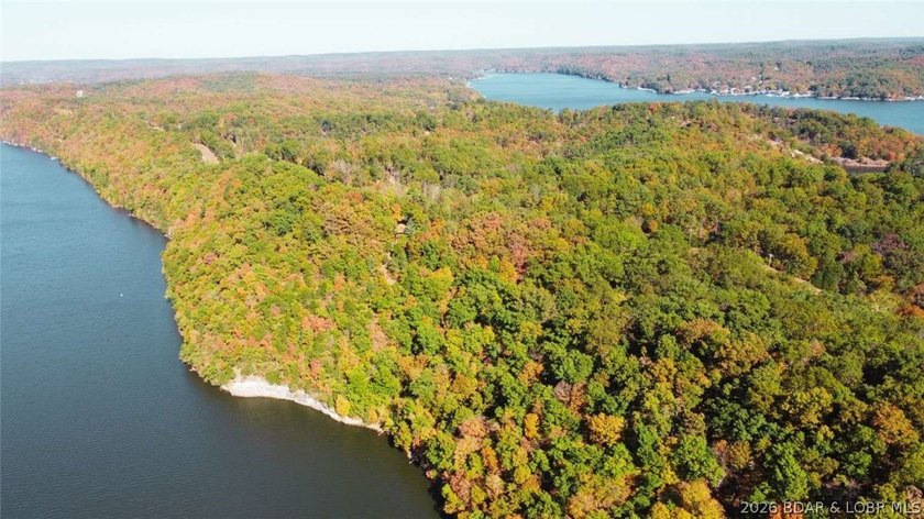 2.1 wooded bluff acres with direct river frontage on Coffman - photo 2