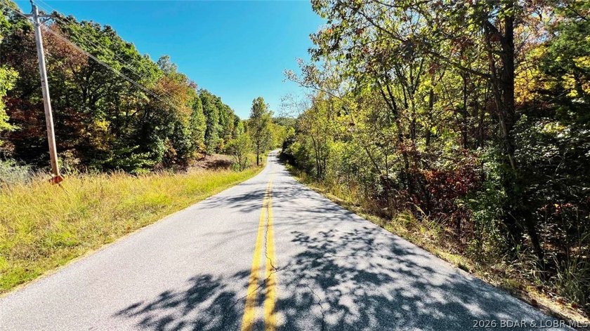 2.1 wooded bluff acres with direct river frontage on Coffman - photo 3