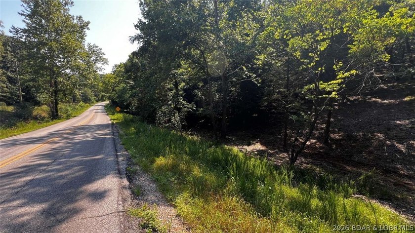 2.1 wooded bluff acres with direct river frontage on Coffman - photo 6