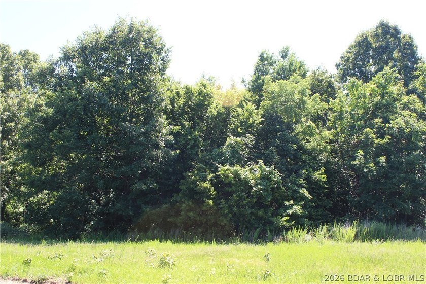 76 acres of opportunity with highway frontage, income potential - photo 5