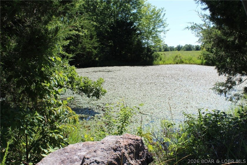 76 acres of opportunity with highway frontage, income potential - photo 9