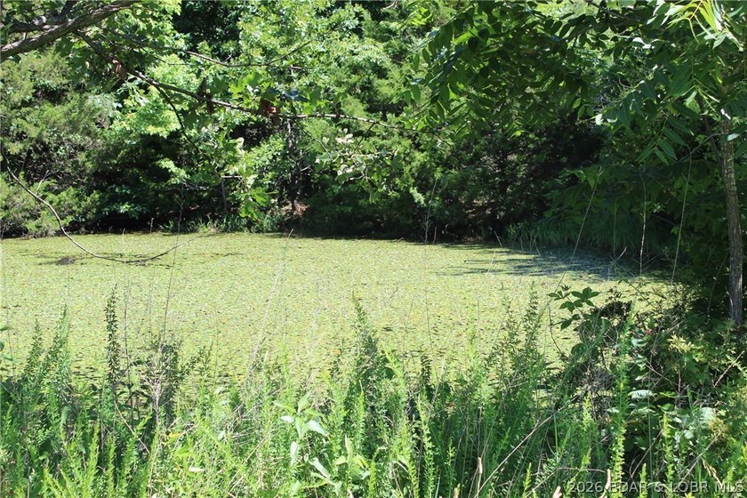 76 acres of opportunity with highway frontage, income potential - photo 10