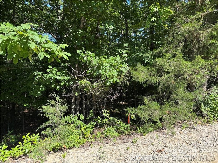 Nice Building site located just off of O-Road approximately 1/10 - photo 2