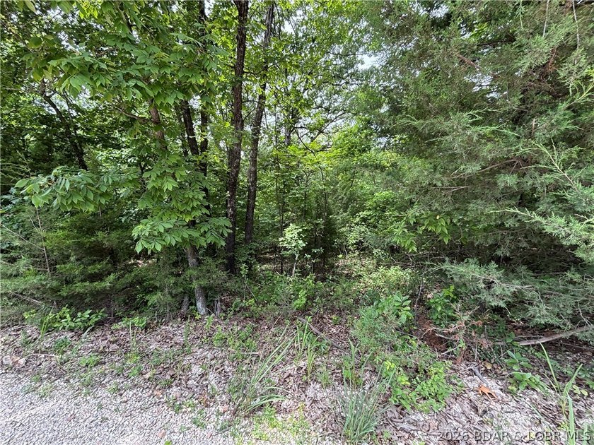 Nice Building site located just off of O-Road approximately 1/10 - photo 3