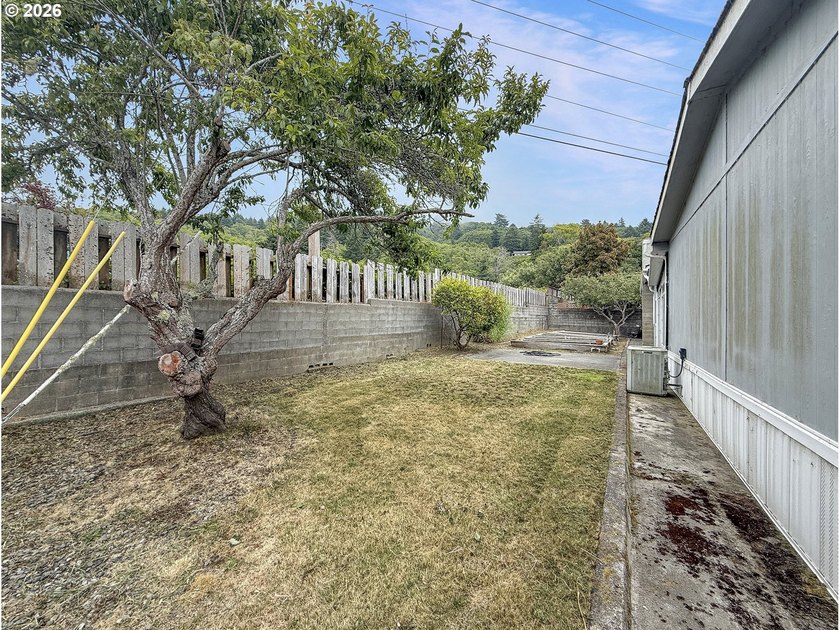 This spacious home in the desirable Camellia Park, a 55-and-over - photo 43