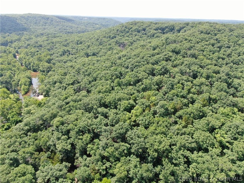 Rare opportunity to own 18 unrestricted acres with direct access - photo 3