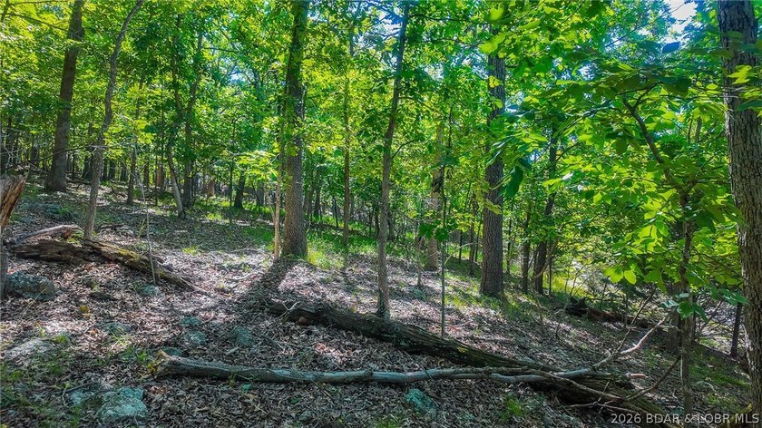 Embrace a fresh opportunity to build your dream retreat on Lot - photo 6