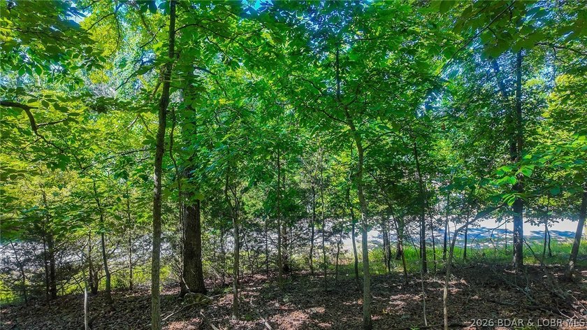 Embrace a fresh opportunity to build your dream retreat on Lot - photo 7