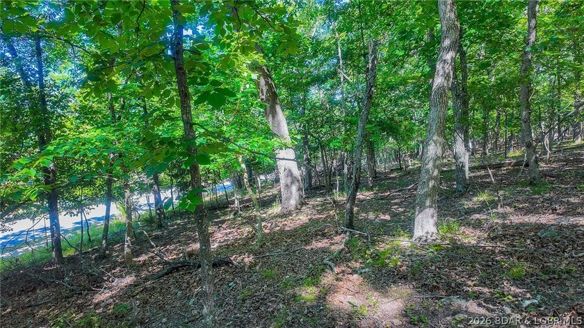 Embrace a fresh opportunity to build your dream retreat on Lot - photo 8