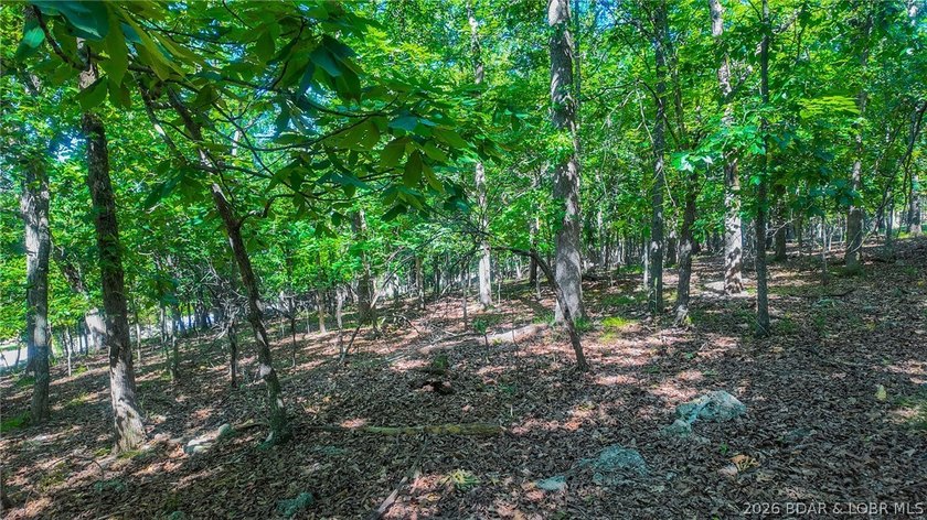 Embrace a fresh opportunity to build your dream retreat on Lot - photo 10