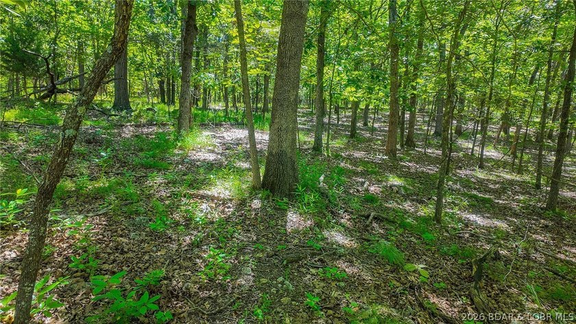 Build your dream home on Muirfield Drive! Discover the perfect - photo 7