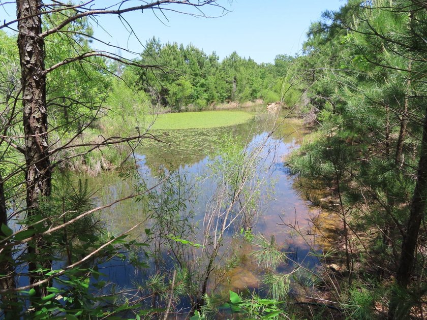 This beautiful 34.79 m/l acres mountain property is located in - photo 24